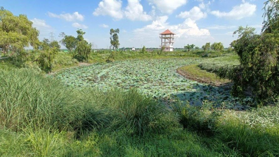 Surha Tal Bird Sanctuary